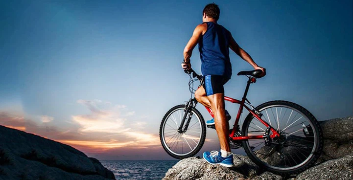 The whole internal logistics system solutions