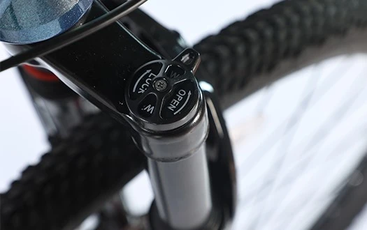 Suspension fork with lock Suspension fork with lock