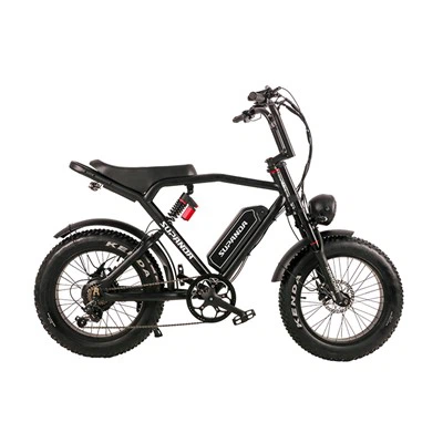 Električni bicikl Fat Tire