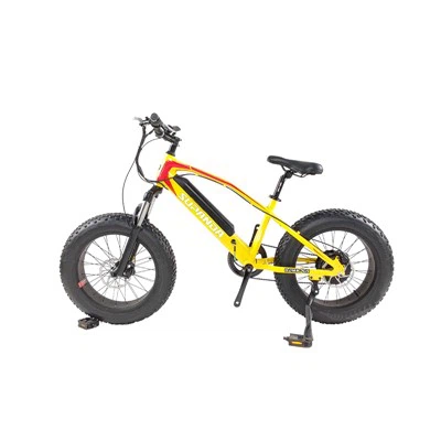 Xs električni brdski bicikl