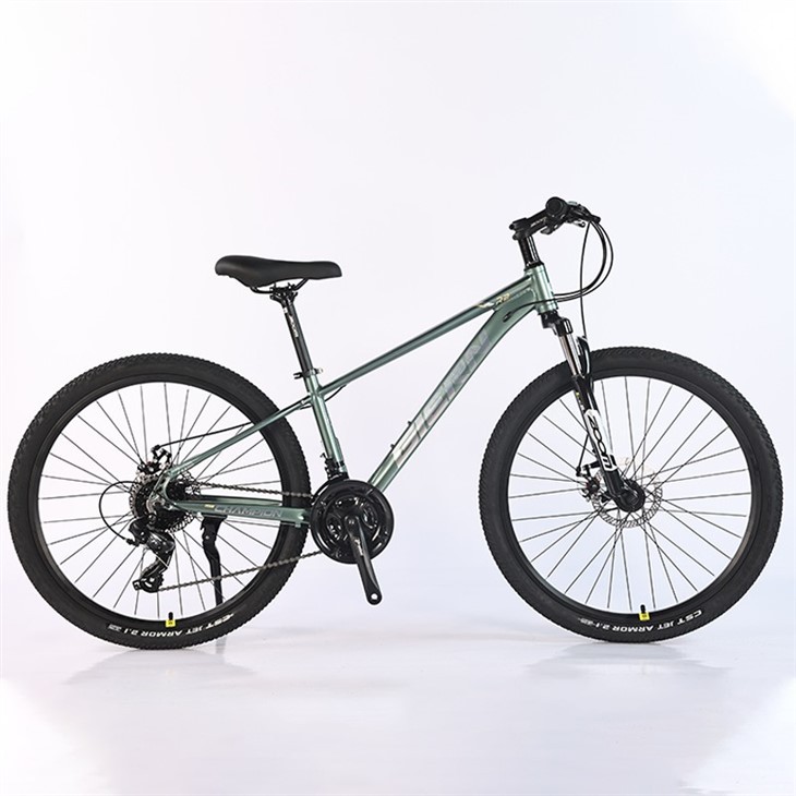 Women's 21 Speed Mountain Bike
